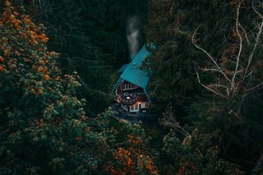 Exterior - Modern Mountain Design & Alpine Charm w/ Fireplace, Hot Tub, Pet Friendly (Glacier)