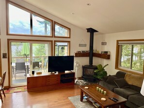 Smart TV, fireplace, video games, toys