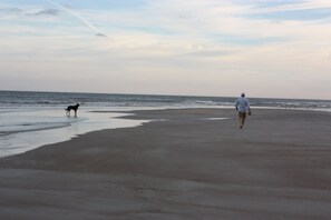 Beach nearby, sun-loungers