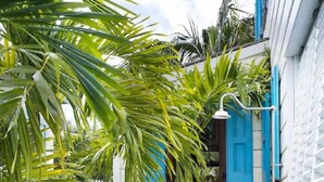 Property grounds - Jewelbox. A Beautifully Restored, Elegant, Family-friendly Town Rental. (Dunmore Town)
