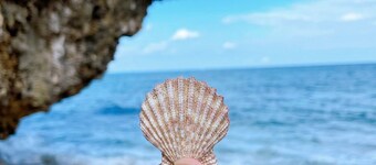 With a free minivan  The whole building is rented / Kunigami-gun Okinawa