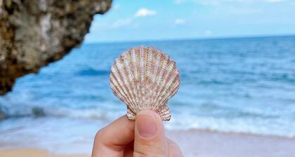 With a free minivan The whole building is rented / Kunigami-gun Okinawa