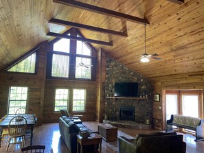 Smart TV, fireplace, video games, DVD player