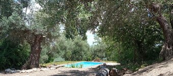 Farmhouse with pool in the Natural Park of Cazorla