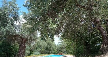 Farmhouse with pool in the Natural Park of Cazorla