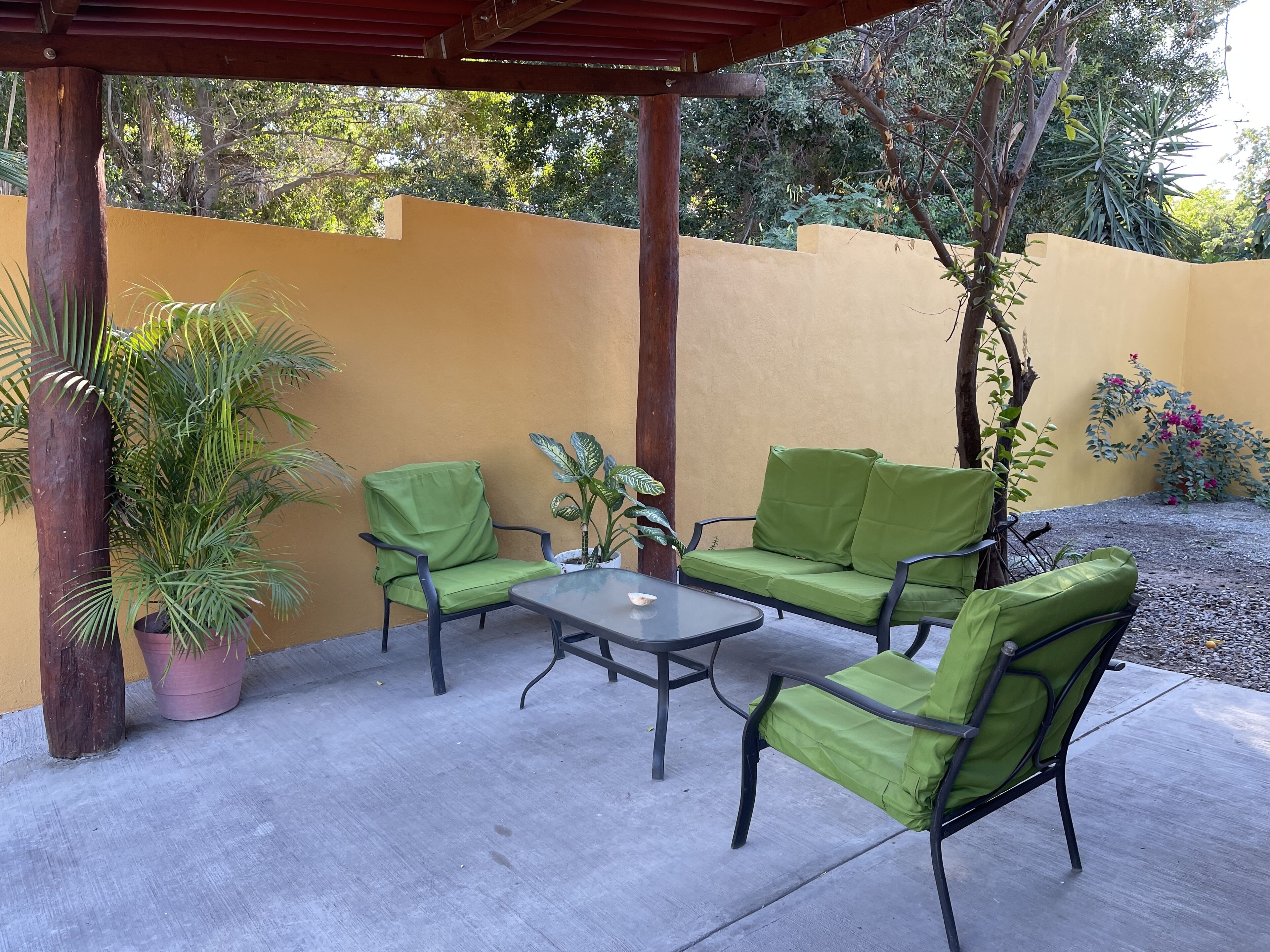 Une terrasse avec des fauteuils à coussins verts, une petite table et des plantes en pot.
