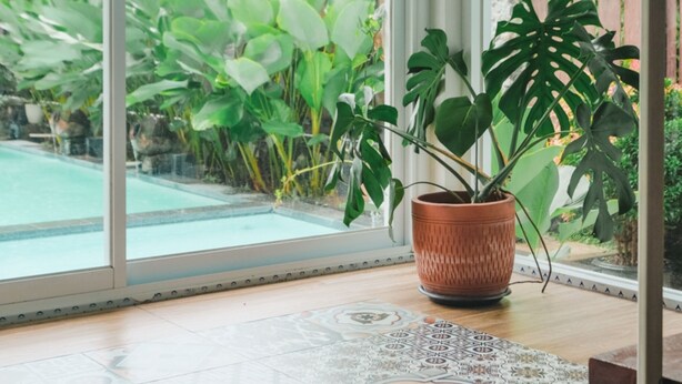 Een kamer met een groot raam met uitzicht op een zwembad en weelderig groen.