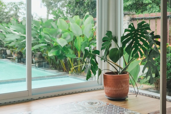 View from property