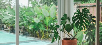 빌라 심플리 호미 프람바난 프라이빗 풀