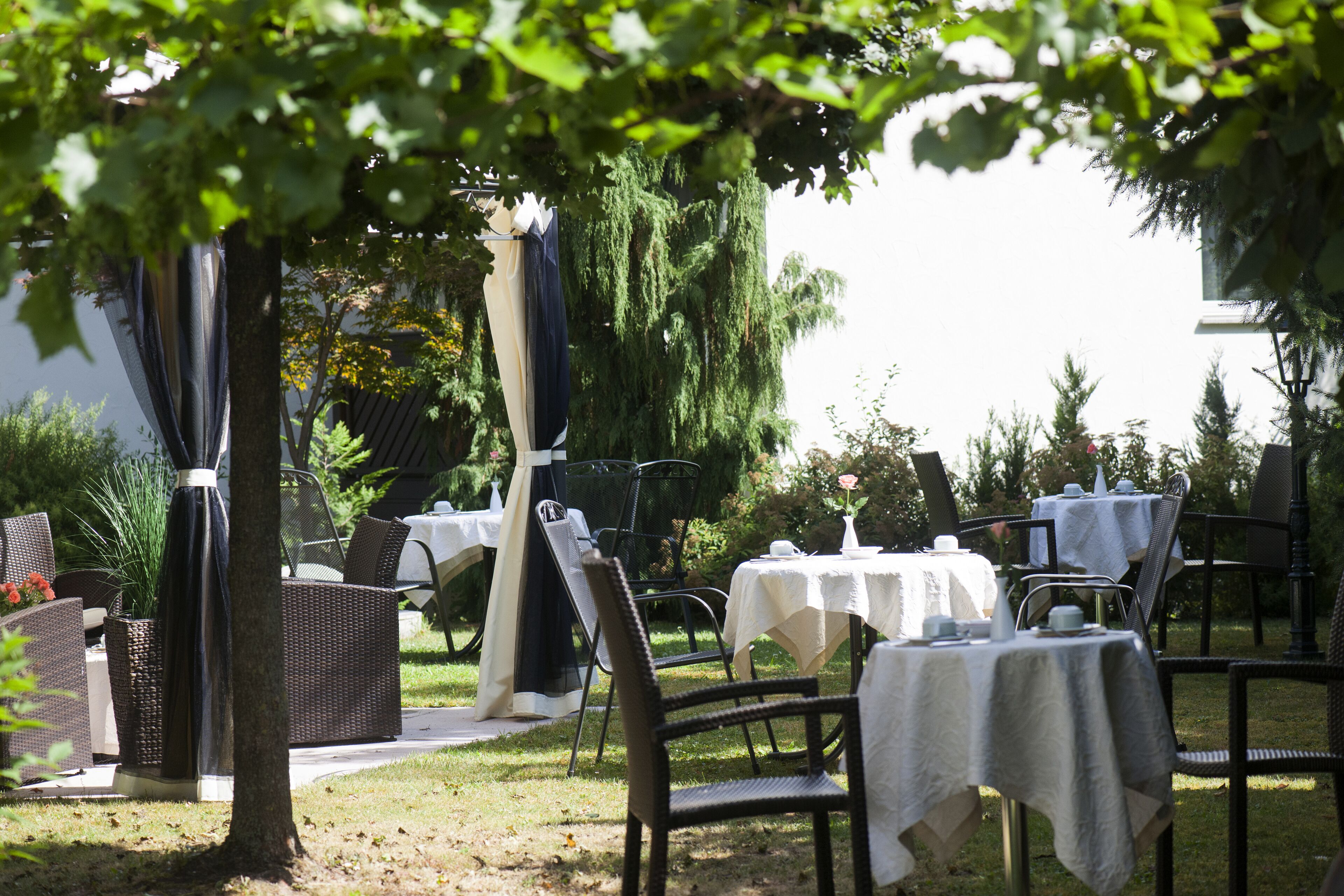 Une terrasse extérieure avec des tables et des chaises, entourée d’arbres et de verdure.
