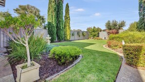 A well-maintained backyard with a lawn, a small tree, and various shrubs. - Queensland South - Aldinga Beach - C21 SouthCoast Holidays (Aldinga Beach)