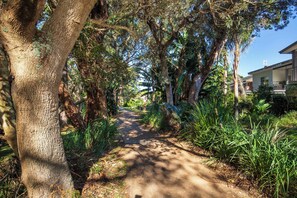Property grounds - Dunescape Family Retreat (Vincentia)