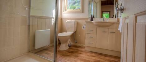 A bathroom with a glass shower enclosure, a toilet, a sink with a mirror, and wooden flooring.