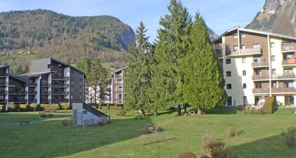 Bright 2-room cabin apartment, pets allowed, near Samoëns center