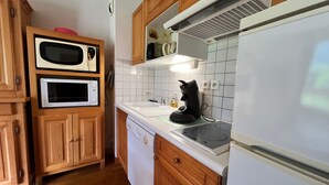A compact kitchen with wooden cabinets, a microwave, a coffee maker, and a dishwasher.