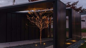 A modern building with a tree under a covered area.