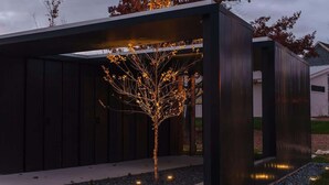 Un edificio moderno con un árbol bajo una zona cubierta.