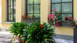 A building with large windows and potted plants on the windowsills.