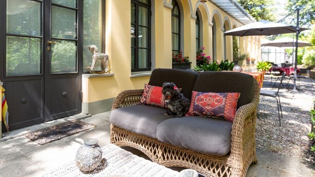 A wicker sofa with cushions, a small dog, and a decorative vase on a table outside a building with large windows and a door.
