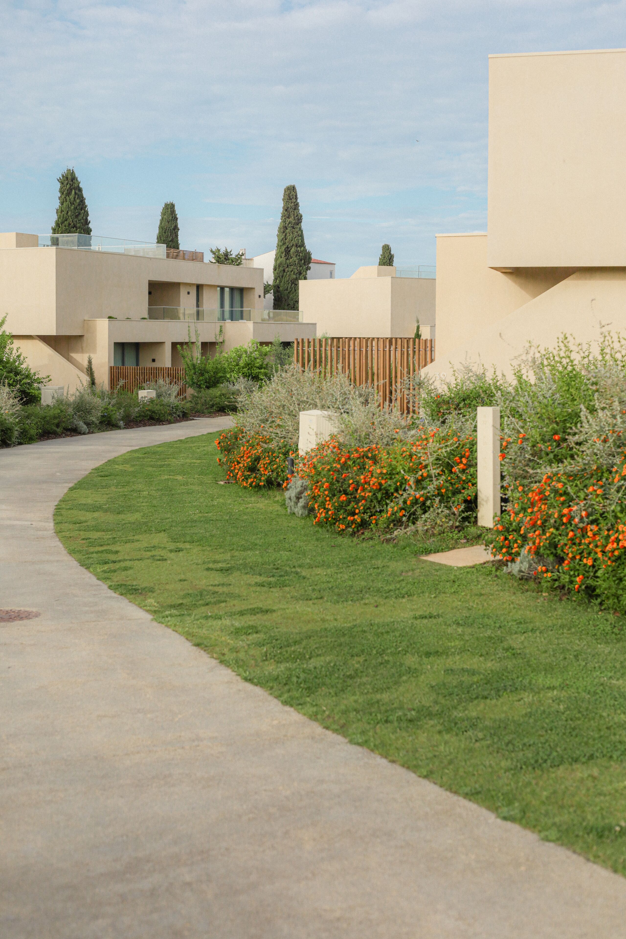 Un quartier résidentiel moderne avec une allée incurvée, une pelouse bien entretenue et des arbustes en fleurs.