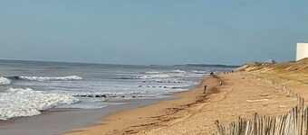 Villa 8 pers bord de mer, piscine couverte entre pommes de pin et coquillages