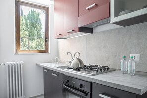 Apartment | Private kitchen | Full-size fridge, oven, stovetop, electric kettle