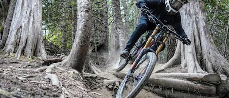 En mountainbikecyklist som tar sig fram på en skogsstig med stora träd och träkonstruktioner som hinder.