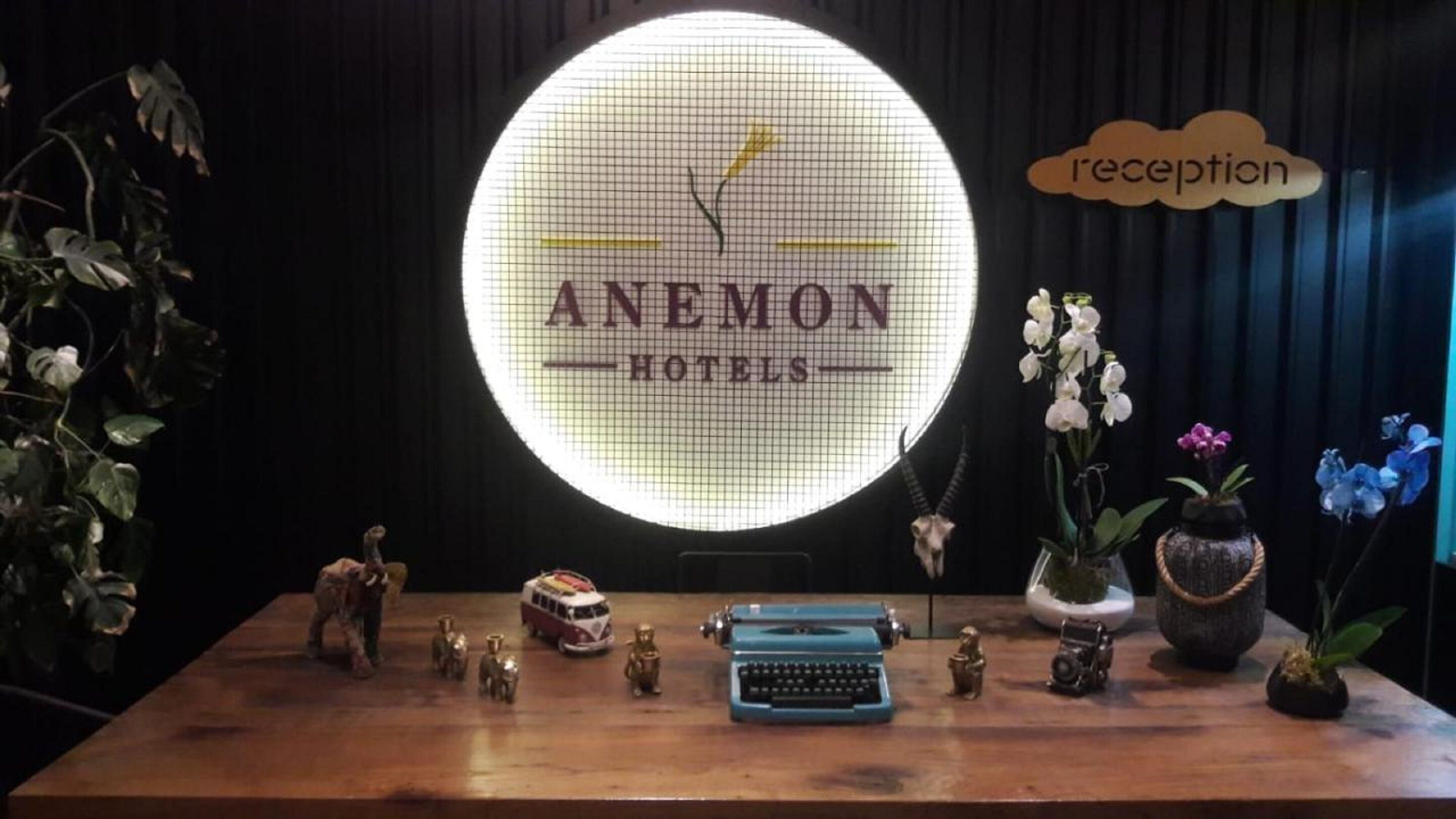 Foto - Anemon Bakırköy