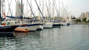 Ein Yachthafen mit mehreren Segelbooten, die dort festgemacht sind.