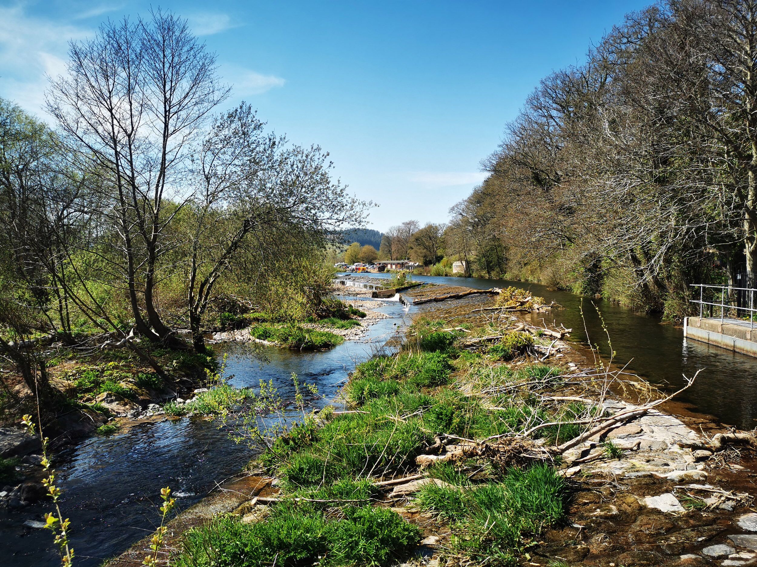 Un río con un puente, rodeado de árboles y vegetación.