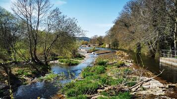 Un río con un puente, rodeado de árboles y vegetación.