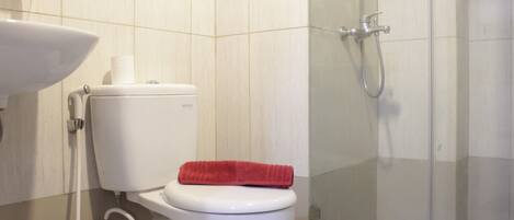 A bathroom with a toilet, a sink, and a shower area.