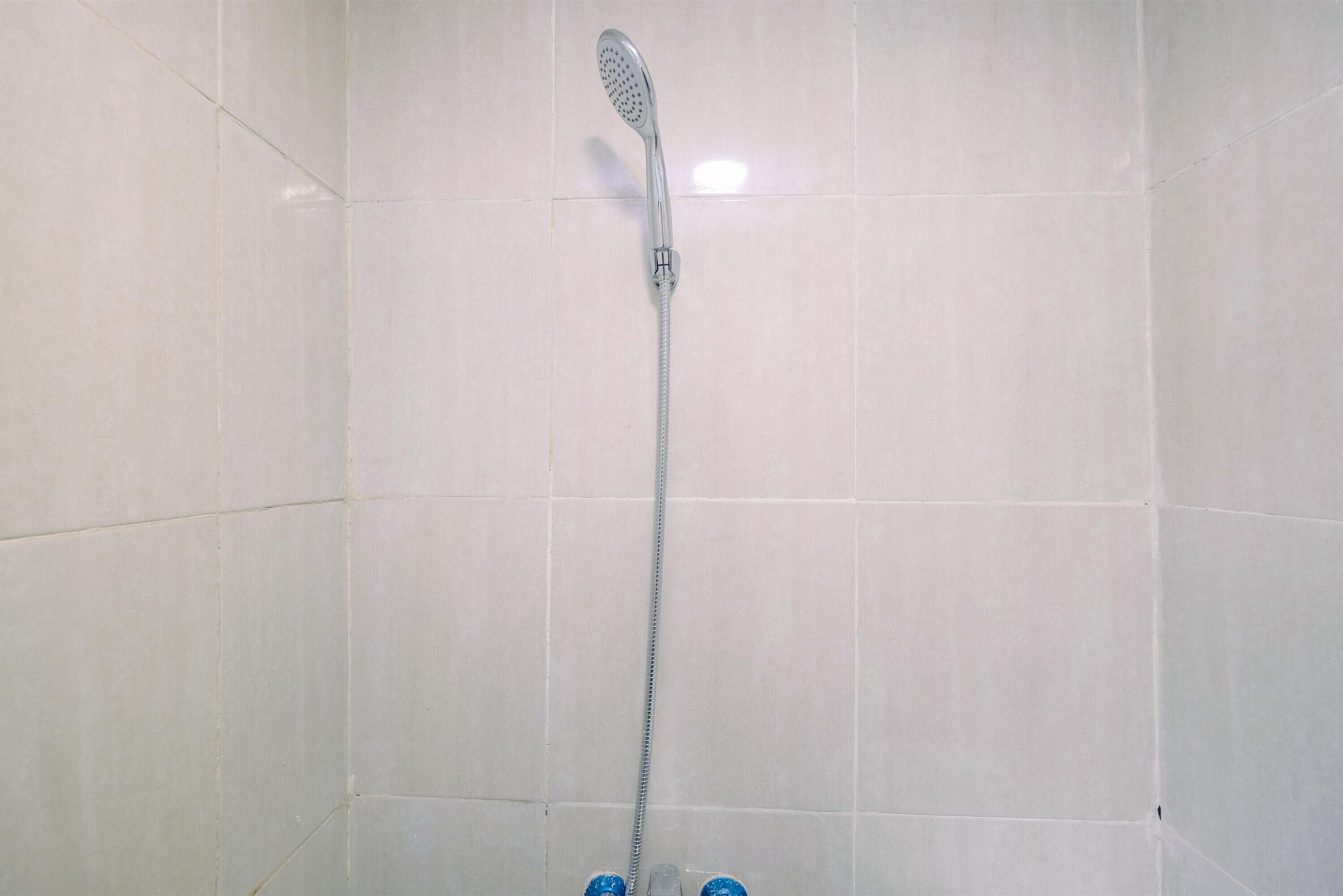 A shower with a handheld head, a flexible hose, and a wall-mounted control.