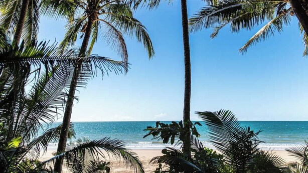 A pathway leading to a beach with palm trees and a clear view of the ocean.