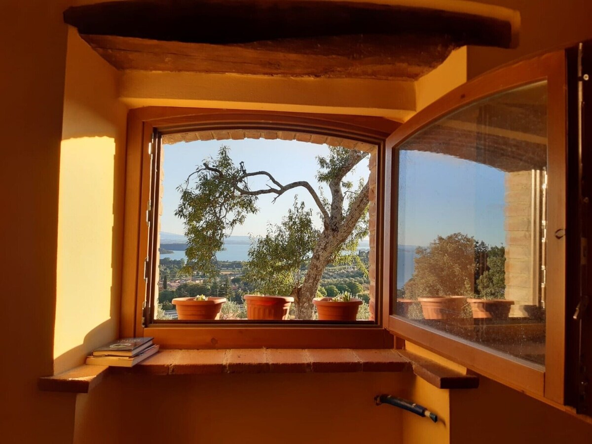 Imagen de perfil del propietario o de la propietaria