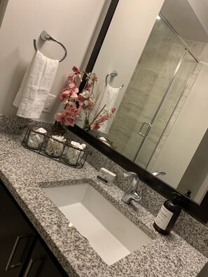Bathroom features a granite countertop, white sink, and large mirror, with a shower area and towel hooks.