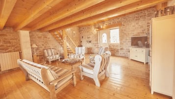 Una televisión, una chimenea, un reproductor de DVD, libros