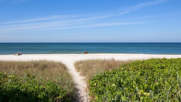 Une plage avec un chemin dégagé menant à l’eau, un banc et quelques plantes en premier plan.
