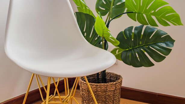 Una sedia bianca con gambe dorate, una pianta di monstera in vaso e una finestra con vista sugli edifici.