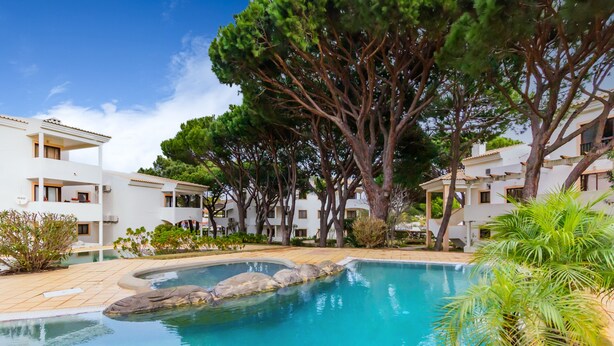Une piscine entourée de bâtiments blancs, d’arbres et d’un palmier.
