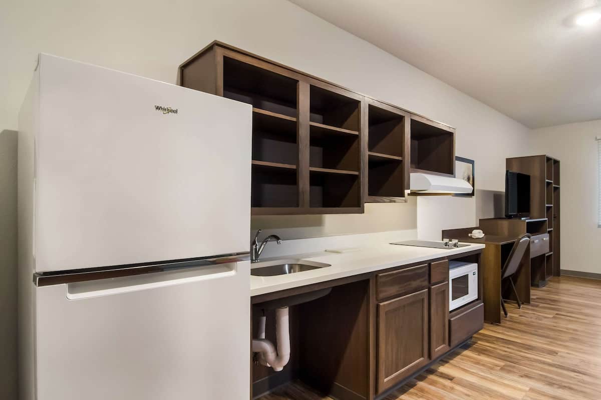 Full-sized fridge, microwave, stovetop