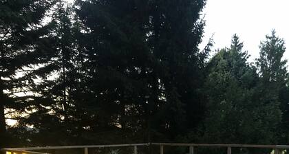 Haus 15 Personen mit Jacuzzi, Große Terrasse in der Nähe von Gérardmer