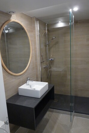 Shower, hair dryer, towels, toilet paper
