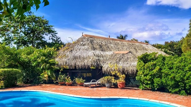 Una casa con techo de paja, piscina y plantas en macetas.