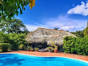 A thatched-roof house with a swimming pool and potted plants.