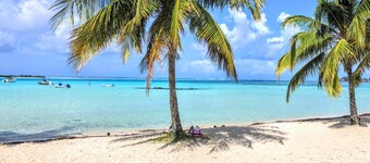 MOOREA - Tropical Soul