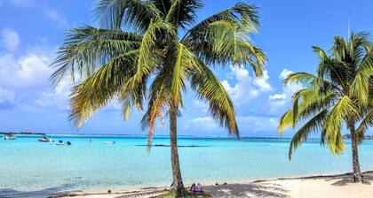MOOREA - Tropical Soul