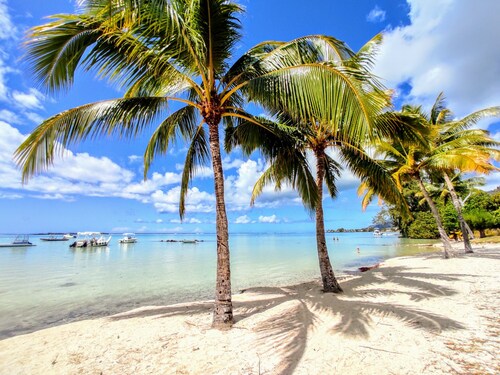 MOOREA - Tropical Soul