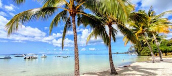 MOOREA - Tropical Soul