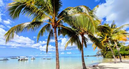 MOOREA - Tropical Soul